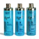 Deby Hair Kit Repair 500 ml